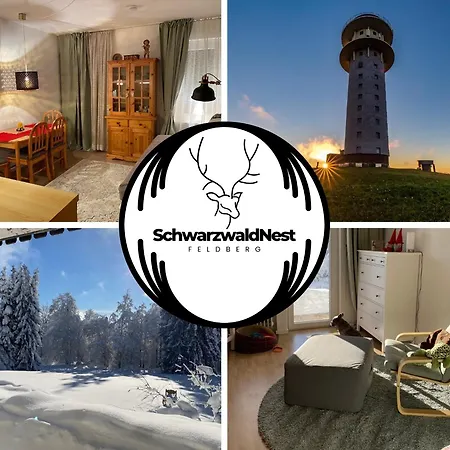 Schwarzwald Nest -