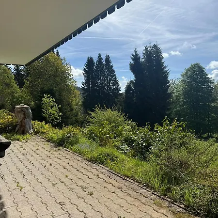 Lejlighed Schwarzwald Nest - Feldberg (Baden-Wurttemberg)